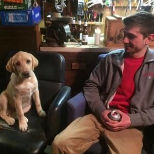 Meet your Posher, Joe